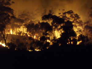 Clifftop Bushfire