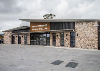 Wingecarribee Animal Shelter